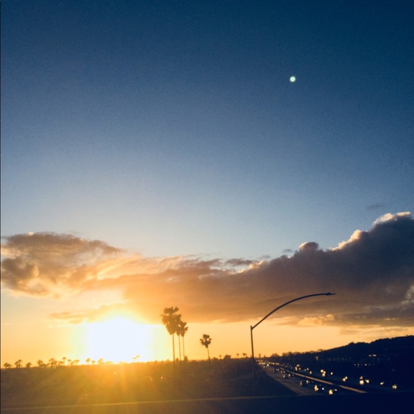 Meet your Posher, Lily - Picture 1 of 1